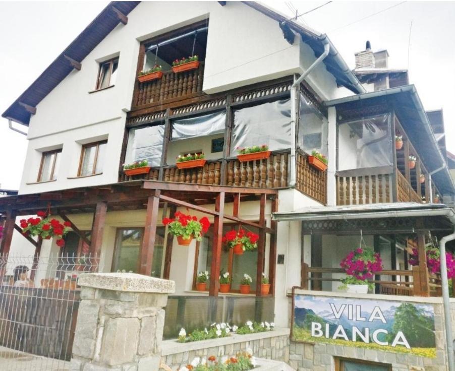 Vila Bianca Busteni Exterior photo